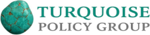 Turquoise Policy Group